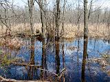 Lake Champlain Islands 002